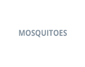 Mosquitoes