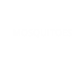 Mosquitoes