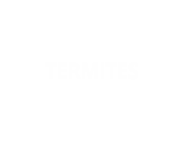Termites